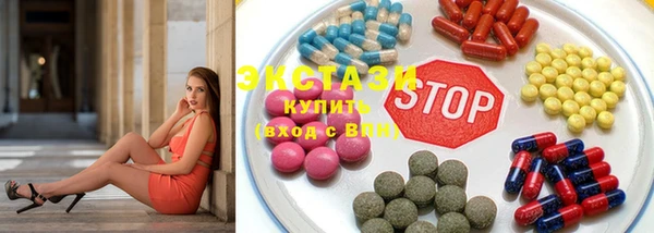 гашик Алексин