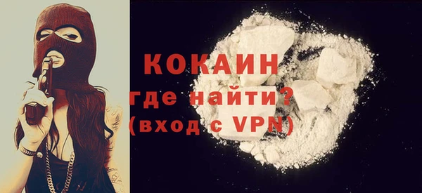 шишки Саяногорск