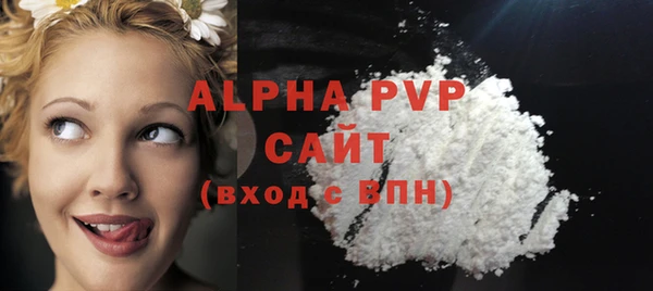 гашик Алексин