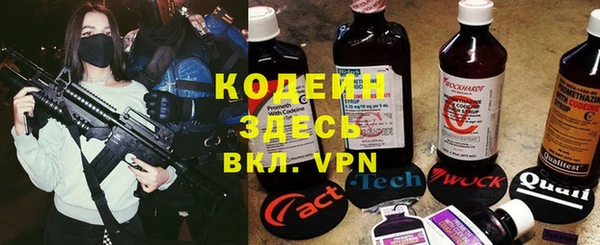 шишки Саяногорск
