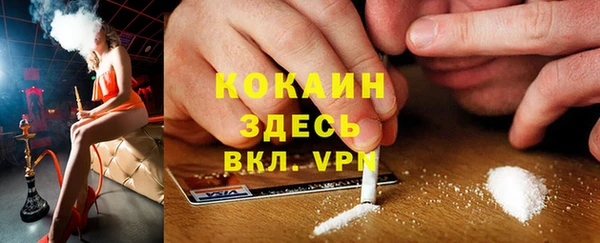 шишки Саяногорск