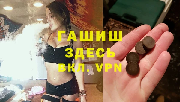шишки Саяногорск