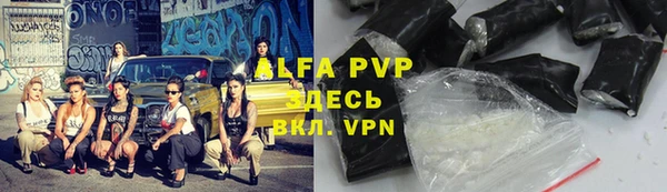 шишки Саяногорск