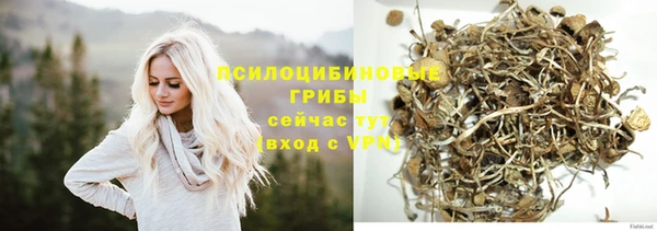 не бодяженный Сатка