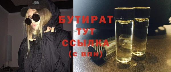 шишки Саяногорск