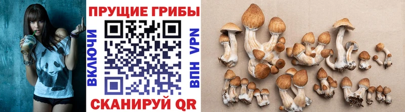Галлюциногенные грибы GOLDEN TEACHER  Кириллов 